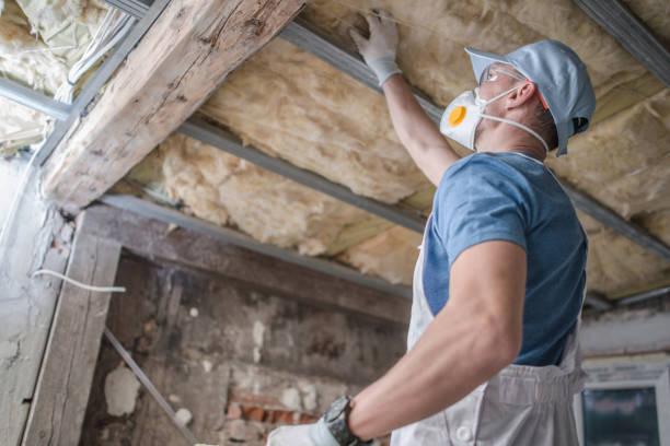 Best Fiberglass Insulation in Lowell, AR