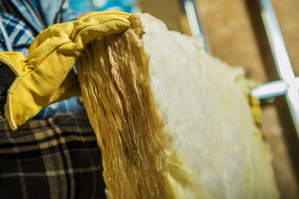 Best Cellulose Insulation in Lowell, AR